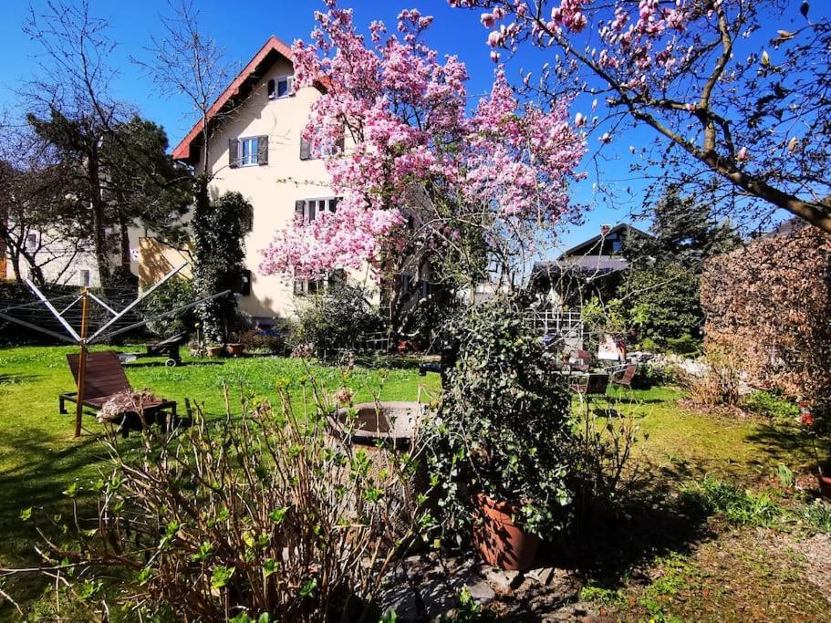 70Qm 3-Zimmer Apartment Am Tauernradweg In Hallein Bei Salzburg, Nahe Berchtesgaden, Rossfeld, Kehlsteinhaus, Obersalzberg, Watzmann, Schoenau Am Koenigsee, Bad Vigaun, Schloss Hellbrunn, Burg Hohen Salzburg, Burg Hohen Werfen # Beherbergungsbetrieb Ngoại thất bức ảnh