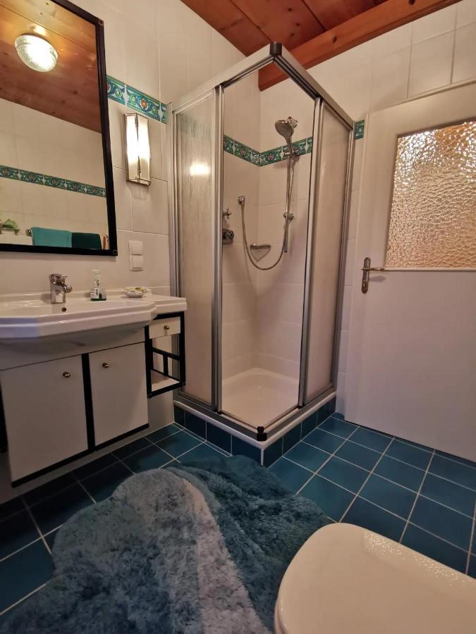 70Qm 3-Zimmer Apartment Am Tauernradweg In Hallein Bei Salzburg, Nahe Berchtesgaden, Rossfeld, Kehlsteinhaus, Obersalzberg, Watzmann, Schoenau Am Koenigsee, Bad Vigaun, Schloss Hellbrunn, Burg Hohen Salzburg, Burg Hohen Werfen # Beherbergungsbetrieb Ngoại thất bức ảnh